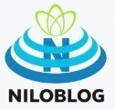 seo  تولید محتوای سئو شده 